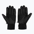 Мъжки ски ръкавици Descente Gordon 93 black DWBUGD11 2