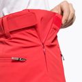 Мъжки ски панталони Descente Swiss 85 black DWMUGD40 9
