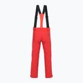 Мъжки скиорски панталони Descente Swiss electric red 2