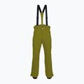 Мъжки ски панталони Descente Roscoe olive green