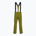 Мъжки ски панталони Descente Roscoe olive green 2