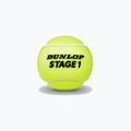 Детски топки за тенис Dunlop Stage 1 60 бр. зелени 601342 2