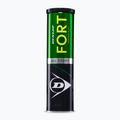 Тенис топки Dunlop Fort All Court Ts 4B 2025 2