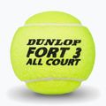 Тенис топки Dunlop Fort All Court Ts 4B 2025 3