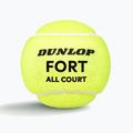 Тенис топки Dunlop Fort All Court Ts 4B 2025 3