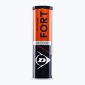Dunlop Fort Clay Court 4B 2025 топки за тенис