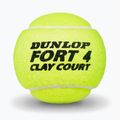 Dunlop Fort Clay Court 4B 2025 топки за тенис 3