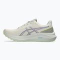 ASICS GT-1000 13 TR мъжки обувки за бягане естествена баня/лимонено зелено 2