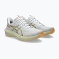 ASICS GT-1000 14 мъжки обувки за бягане бяло/лимонова трева 10