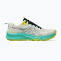 Мъжки обувки за бягане ASICS Trabuco Terra 3 light dust/black