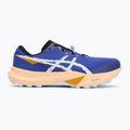 Мъжки обувки за бягане ASICS Fuji Lite 6 cobalt burst/cool grey 2