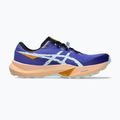 Мъжки обувки за бягане ASICS Fuji Lite 6 cobalt burst/cool grey 8
