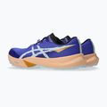 Мъжки обувки за бягане ASICS Fuji Lite 6 cobalt burst/cool grey 11