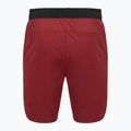 Мъжки къси панталони/шорти VICTOR R-60200 biking red 2