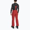 Мъжки скиорски панталони Descente Swiss electric red 2