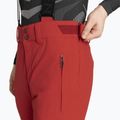 Мъжки скиорски панталони Descente Swiss electric red 4