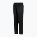 Мъжки туристически панталони REGATTA Pack It Overtrousers black 9