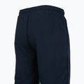 Мъжки панталони за тренировка Mizuno Takeshi Track navy 4
