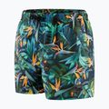 Мъжки шорти за плуване Speedo Digital Printed Leisure 14, зелени 68-13454G676