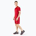 Мъжки къси панталони за тренировка Mizuno High-Kyu red V2EB700162 2