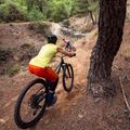 Дамски къси панталони за колоездене Endura Singletrack Lite Short Sht harvest 4