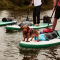 Red Paddle Co Voyager 12'6" зелена/бяла SUP дъска 13