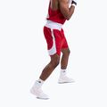 Мъжки тренировъчни шорти Boxraw Stevenson V2 red/white 6