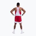 Мъжка тениска Boxraw Stevenson V2 Tank red/white 3