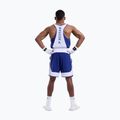 Мъжки тренировъчни шорти Boxraw Stevenson V2 blue/white 3