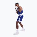 Мъжки тренировъчни шорти Boxraw Stevenson V2 blue/white 8