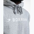 Мъжки суитшърт Boxraw A.B.C. Hoodie grey 8