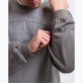 Мъжки суитшърт Boxraw East Street Sweatshirt distressed grey 8