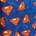 Детски къси панталони за плуване Zoggs Superman blue 2