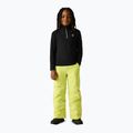 Детски поларен суитшърт Dare 2b Freehand Fleece black 3