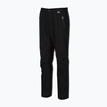 Мъжки туристически панталони REGATTA Highton Stretch black 5