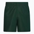 Мъжки къси панталони за плуване Nike Essential 5" Volley green NESSA560-303