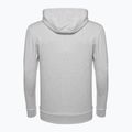 Мъжки суитшърт за тренировки Ellesse Ferrer Oh Hoody сив марл 6