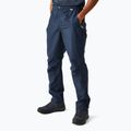 Мъжки туристически панталони REGATTA Highton Stretch navy