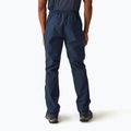 Мъжки туристически панталони REGATTA Highton Stretch navy 3