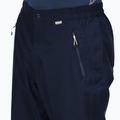 Мъжки туристически панталони REGATTA Highton Stretch navy 4