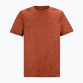 Мъжка тениска за трекинг REGATTA Fingal Edition rusty orange 5