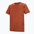 Мъжка тениска за трекинг REGATTA Fingal Edition rusty orange 7