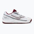 Дамски обувки за тенис Mizuno Break Shot 4 AC white 61GA232664 2