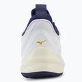 Мъжки волейболни обувки Mizuno Wave Luminous 2 white/blue ribbon/mpg gold 6