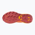 Дамски обувки за бягане Mizuno Wave Daichi 8 GTX nasturtium/citrus/cranberry 6