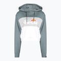 Дамски суитшърт за тренировки Ellesse Allesandro зелен