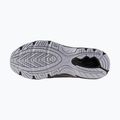 Мъжки обувки Mizuno Mxr silver/silver/nimbus cloud 14