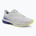 Мъжки обувки за бягане Mizuno Wave Skyrise 7 dawn blue/white/dazzling blue