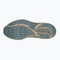 Мъжки обувки за бягане Mizuno Wave Rider TT 3 curds&whey/summer sand/north atlantic 9