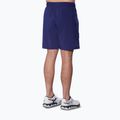 Мъжки къси панталони/шорти Mizuno 8 Inches Flex Short beacon blue 2